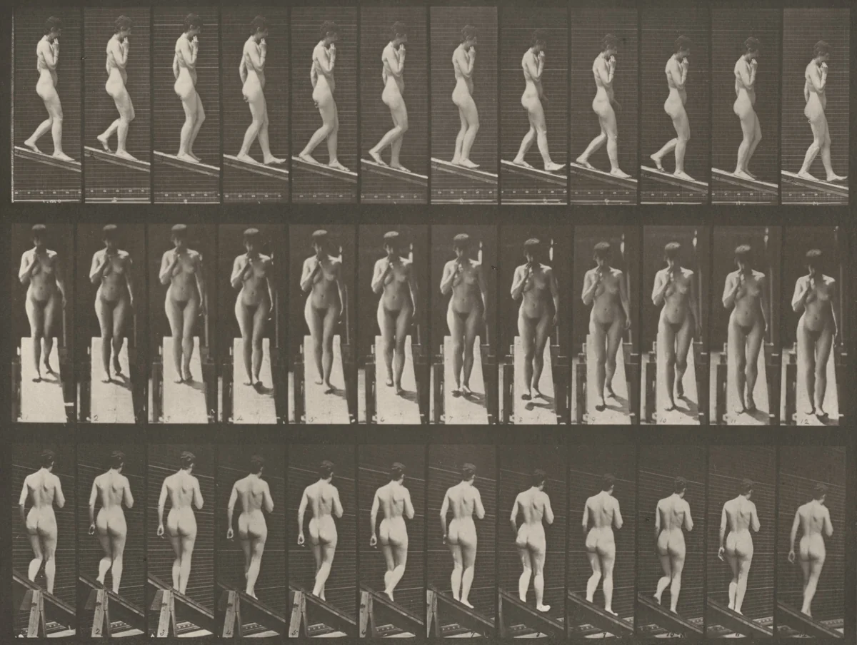 Plate Number 116. Descending an incline with one hand on chin by Eadweard Muybridge, photograph, 1887