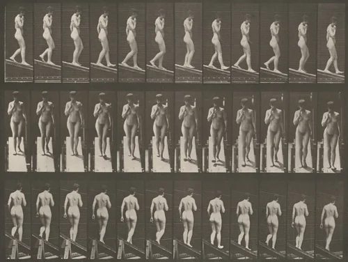 Plate Number 116. Descending an incline with one hand on chin by Eadweard Muybridge, photograph, 1887