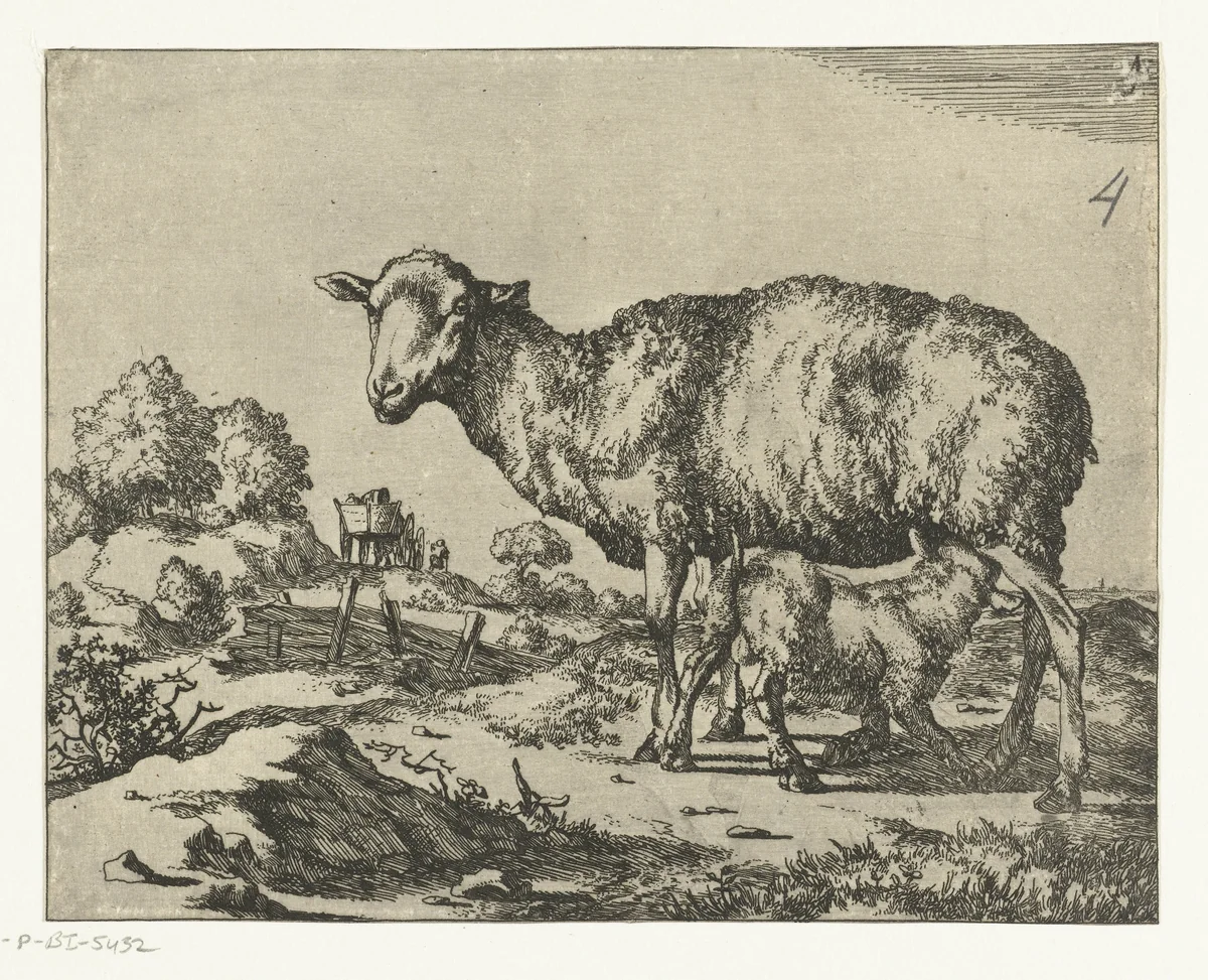 Schaap met drinkend lam by Marcus de Bye, print, 1660
