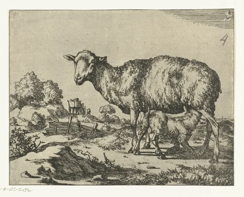 Schaap met drinkend lam by Marcus de Bye, print, 1660