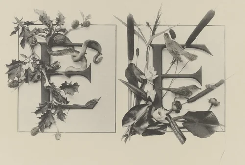 Page from Festons und Dekorative Gruppen by Unidentified Photographer, photograph, 1893