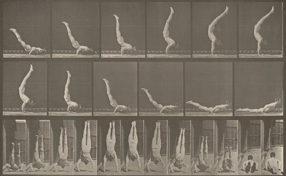 Plate Number 372. Acrobat, horizontal "press up" by Eadweard Muybridge, photograph, 1887