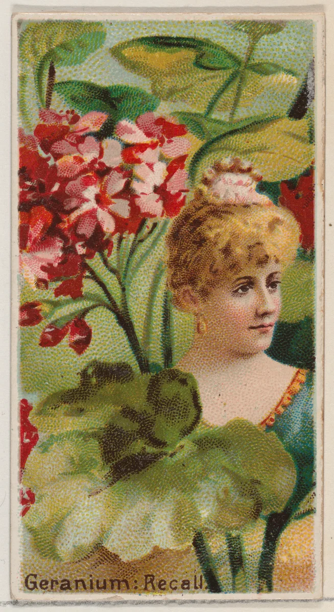 Geranium: Recall, from the series Floral Beauties and Language of Flowers (N75) for Duke brand cigarettes by American Tobacco Company, print, 1892