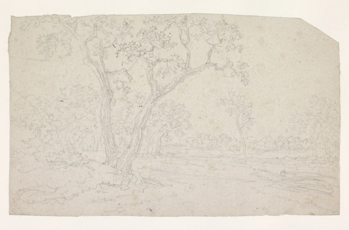 Bomen in een vlak landschap by Georges Michel, drawing, 1773-1843