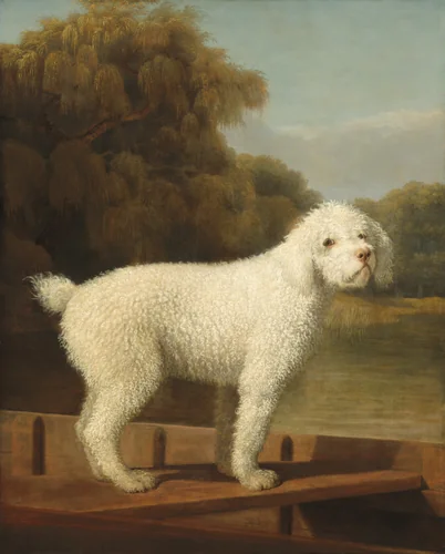 White Poodle in a Punt by George Stubbs, painting, 1780