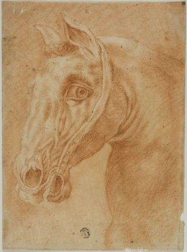 Head of a Horse by Charles Parrocel, drawing, 1718-1752