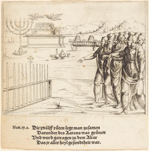 The Blossoming of Aaron's Rod by Augustin Hirschvogel, print, 1503-1553