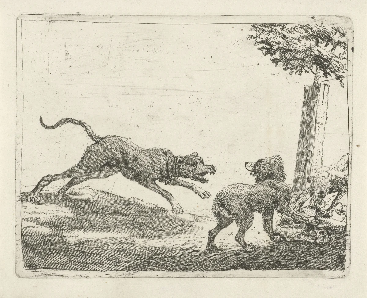 Drie honden bij een karkas by Pauwels van Hillegaert, print, 1654