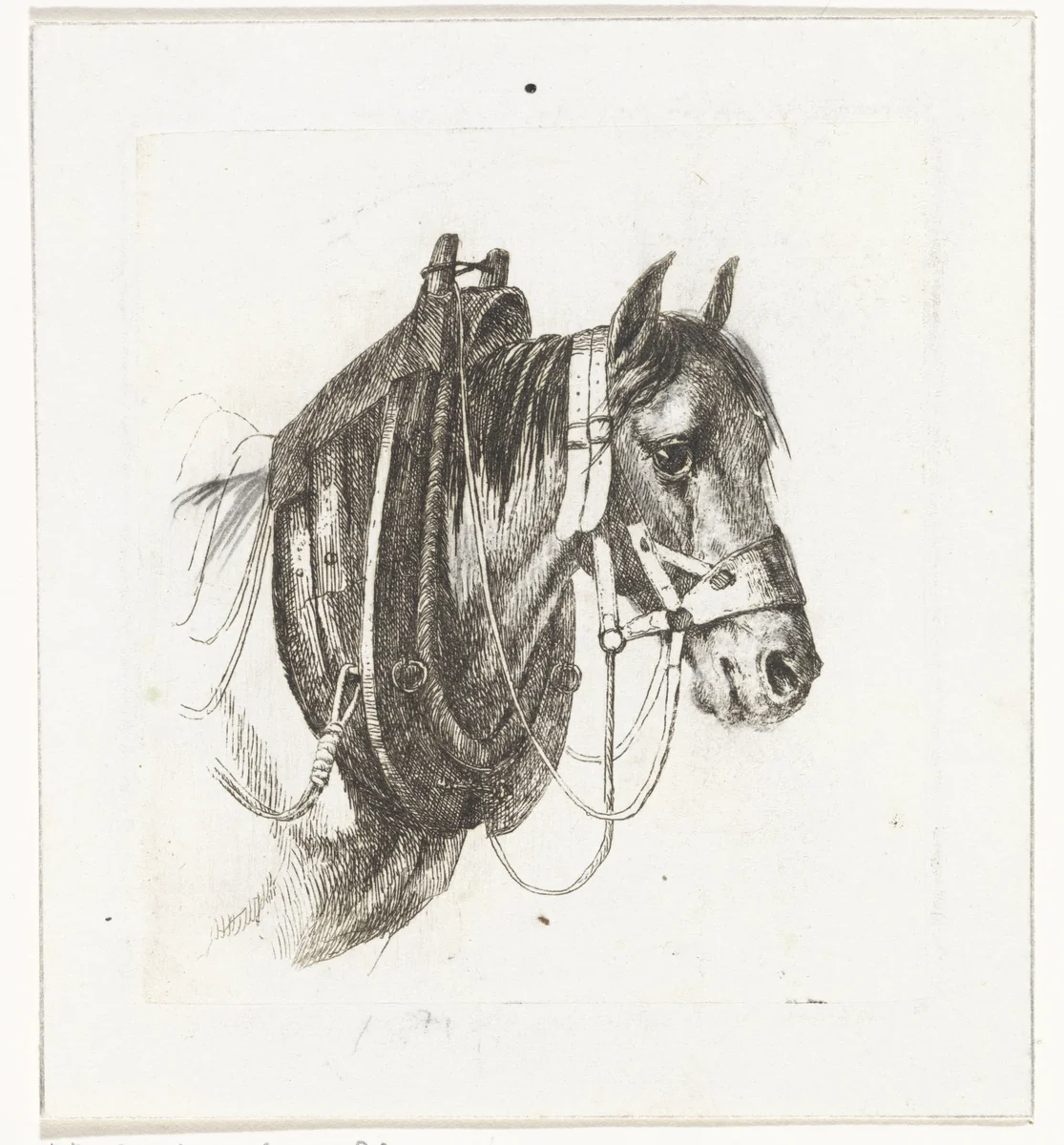 Paardenhoofd met hoofdstel, gareel en zadel by Abraham Hendrik Winter, print, 1815-1860
