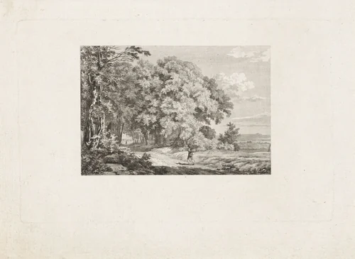 Reiziger op een bospad by Joannes Pieter Visser Bender, print, 1795-1813