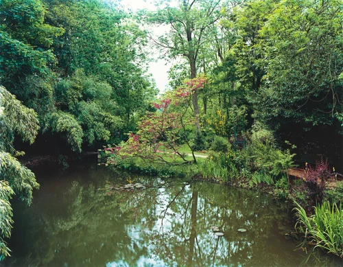 Plate I by Stephen Shore, photograph, 1982