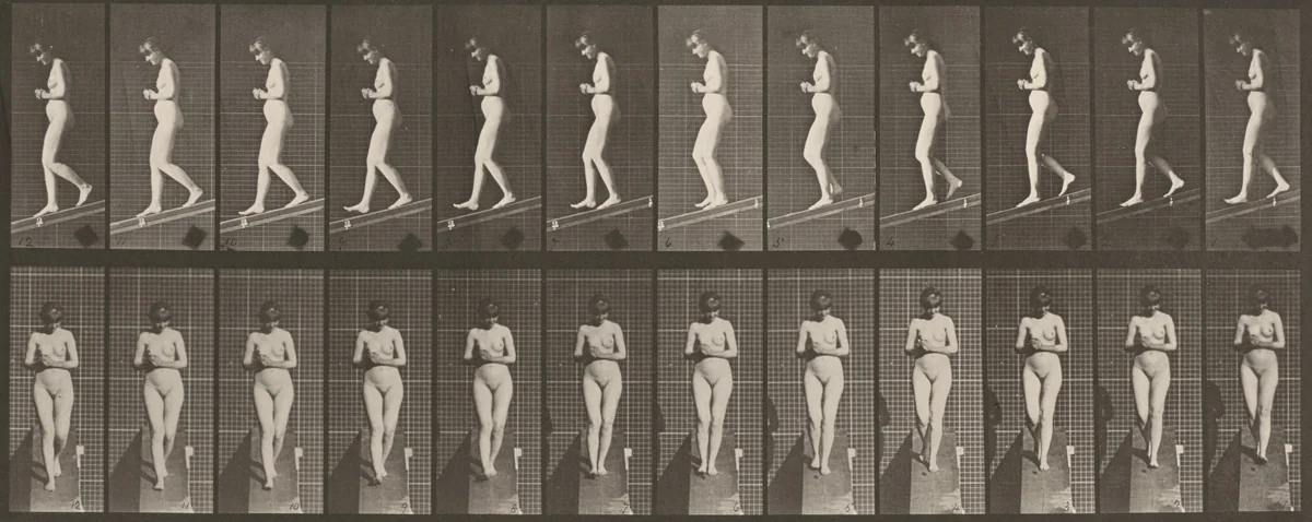 Plate Number 115. Descending an incline with hands clasped in front by Eadweard Muybridge, photograph, 1887