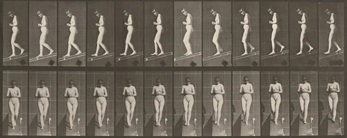 Plate Number 115. Descending an incline with hands clasped in front by Eadweard Muybridge, photograph, 1887