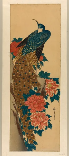 Peacock and peonies by Utagawa Hiroshige (歌川広重), print, 1840-1843