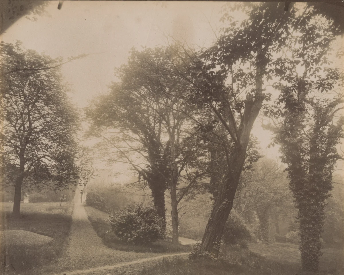Parc Delessert, 32 Quai de Passy by Eugène Atget, photograph, 1914