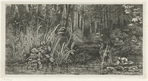 Bosbeekje by Jacobus Ludovicus Cornet, print, 1825-1882