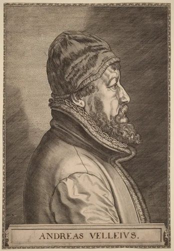 Andreas Velleius (Anders Sorensen Vedel) by Johan Wierix, print, 1549-1615