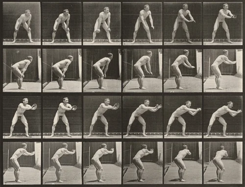 Plate Number 280. Baseball, catching by Eadweard Muybridge, photograph, 1887