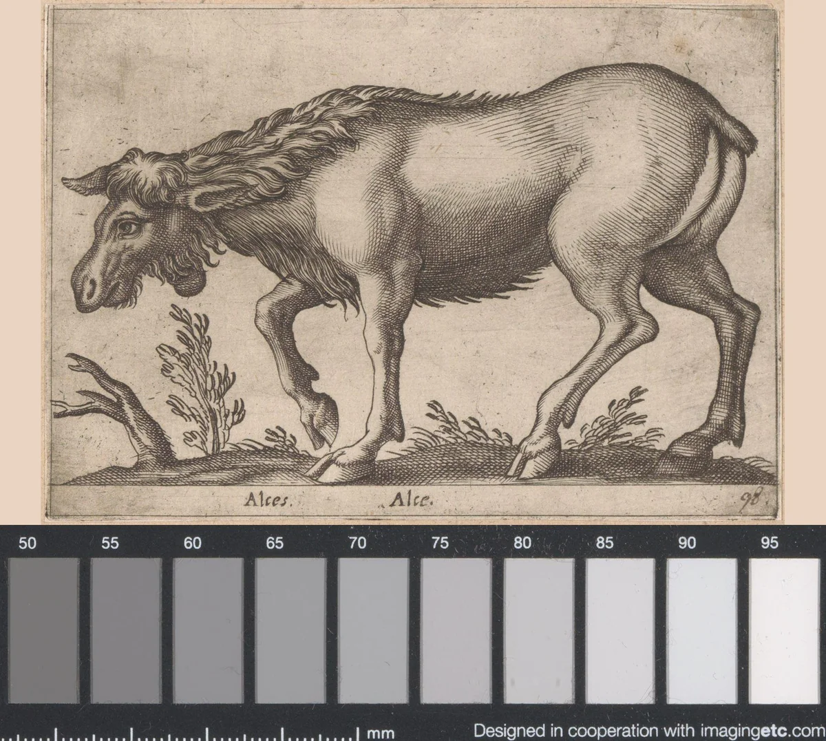 Eland zonder gewei by Antonio Tempesta, print, 1565-1630