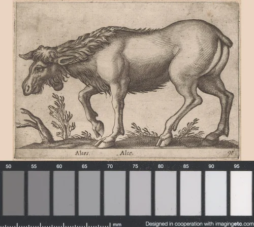 Eland zonder gewei by Antonio Tempesta, print, 1565-1630