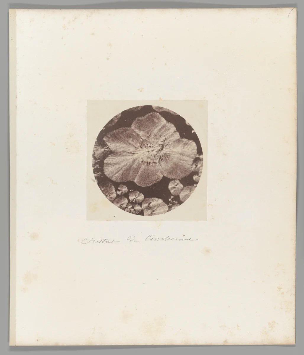 [Untitled] by Auguste-Adolphe Bertsch, photograph, 1853-1857