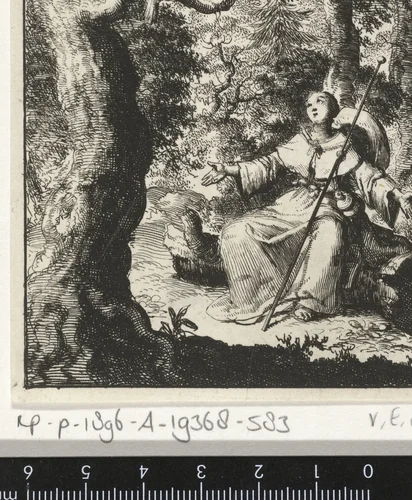 Vrouwelijke pelgrim ziet in het bos een tortelduif by Jan Luyken, print, 1687