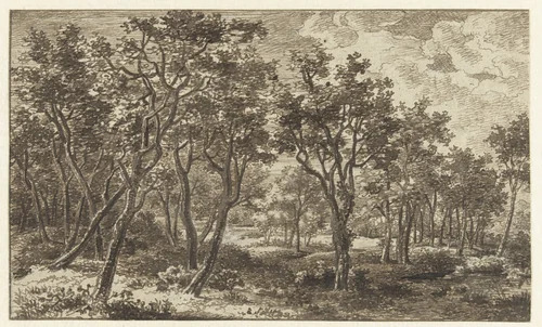 Boslandschap in het landgoed Zon, nabij Eindhoven by Ernst Willem Jan Bagelaar, drawing, 1821