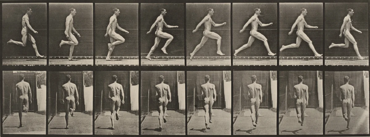 Plate Number 65. Running at full speed by Eadweard Muybridge, photograph, 1887