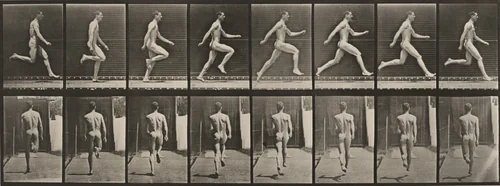 Plate Number 65. Running at full speed by Eadweard Muybridge, photograph, 1887