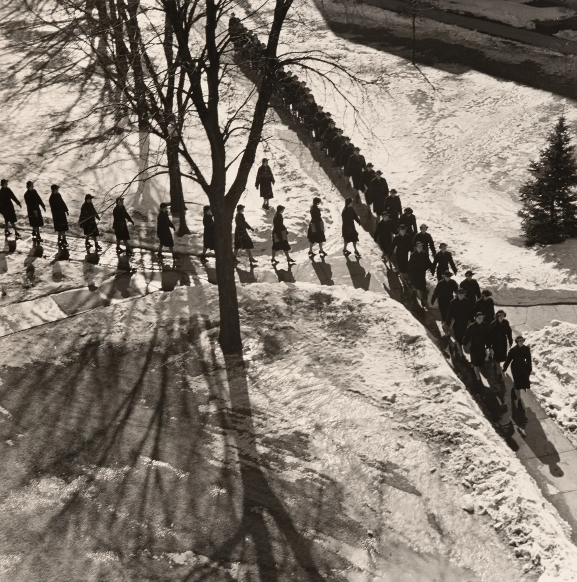 U.S. Naval Training Center, Women's Reserve, Cedar Falls, Iowa by Wayne Miller, photograph, 1943