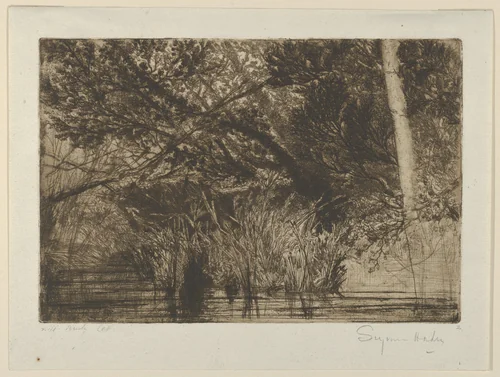 The Mouth of a Brook, No. 1 by Sir Francis Seymour Haden, print, 1859