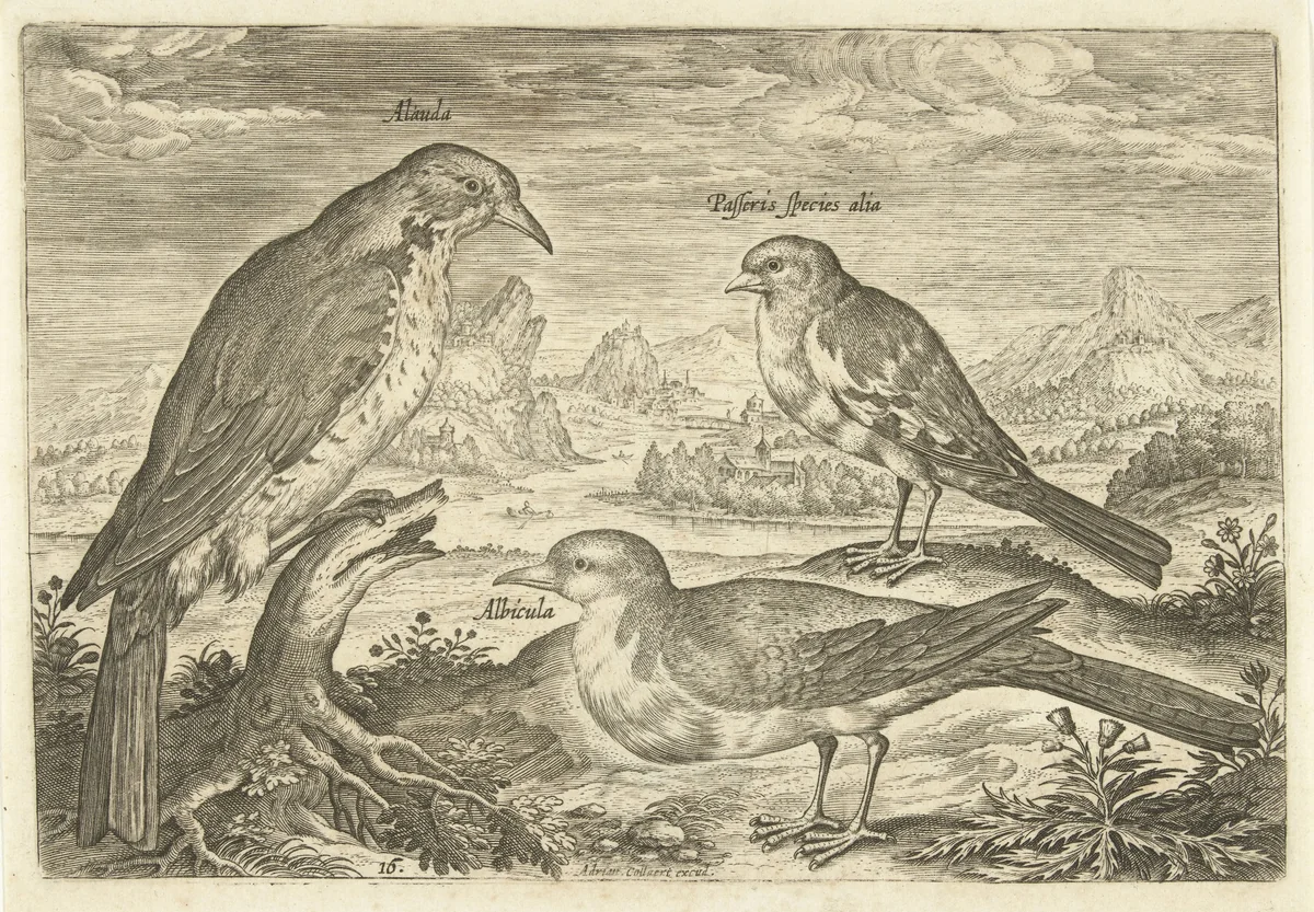 Drie vogels in een landschap by Adriaen Collaert, print, 1598-1602