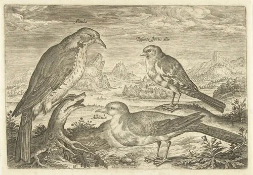 Drie vogels in een landschap by Adriaen Collaert, print, 1598-1602