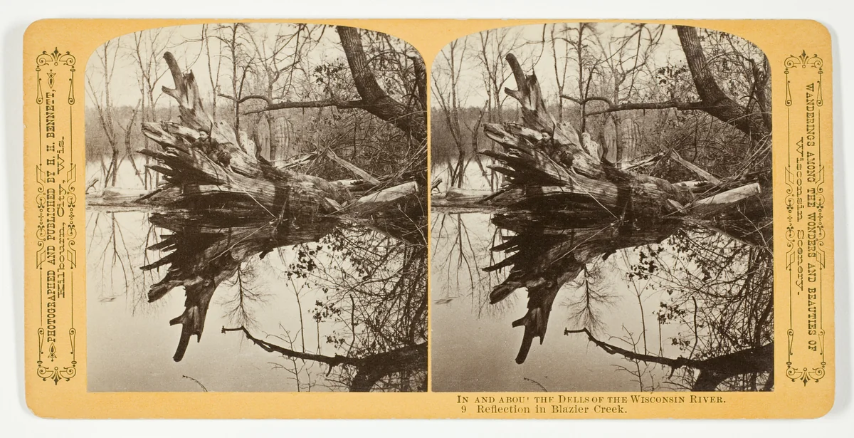 Reflection in Blazier Creek, No. 9 from the series "In and About the Dells of the Wisconsin River" by Henry Hamilton Bennett, photograph, 1870-1908