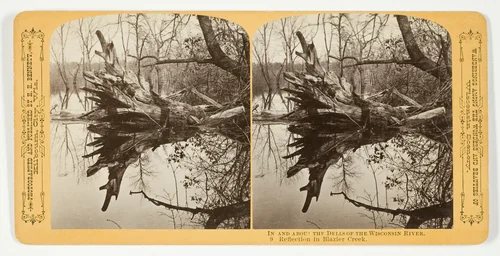 Reflection in Blazier Creek, No. 9 from the series "In and About the Dells of the Wisconsin River" by Henry Hamilton Bennett, photograph, 1870-1908