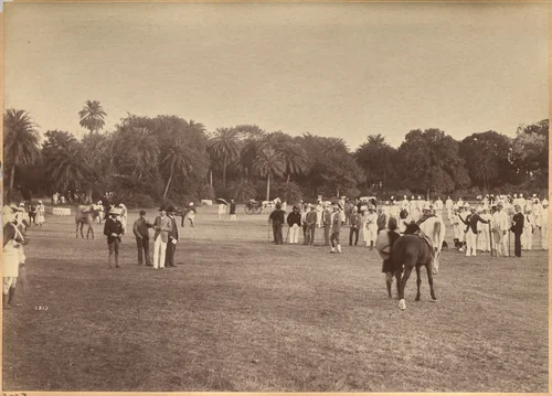 Judging at the Horseshow at Jhansi by Raja Deen Dayal, photograph, 1877-1892