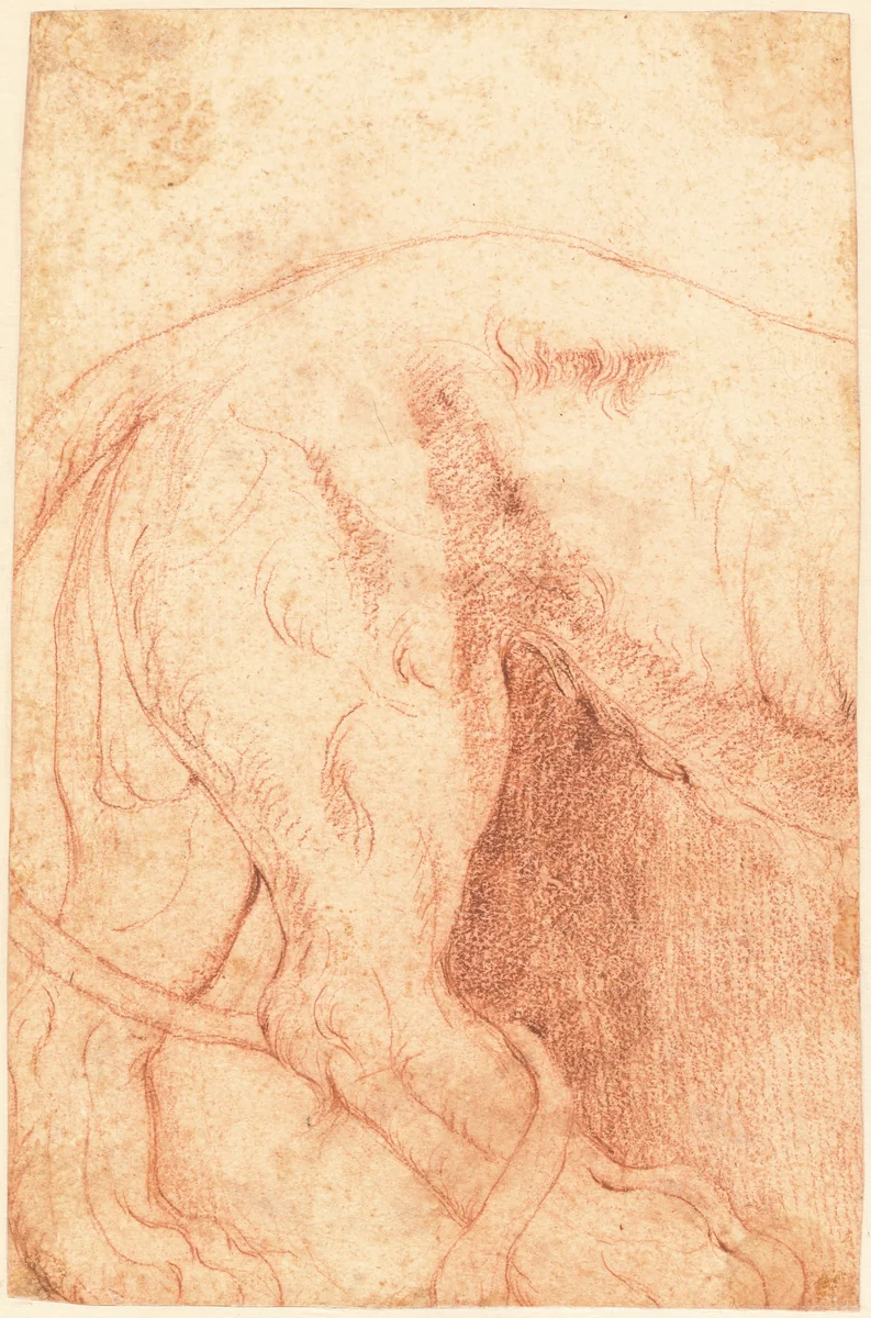 Fragment of a Lion Bas-Relief (verso) by Giovanni Battista Piranesi, drawing, 1750-1759