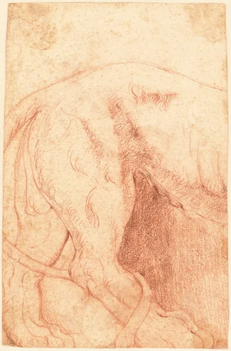Fragment of a Lion Bas-Relief (verso) by Giovanni Battista Piranesi, drawing, 1750-1759
