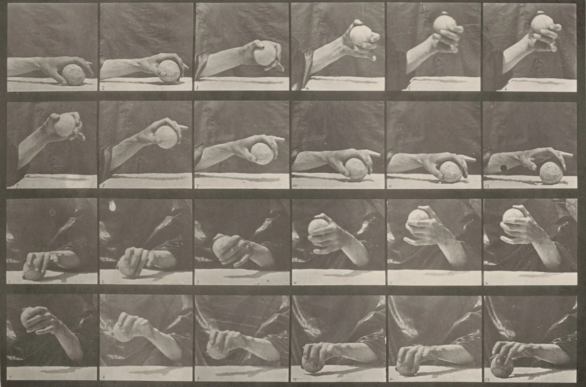 Plate Number 534. Movement of the hand, lifting a ball by Eadweard Muybridge, photograph, 1887