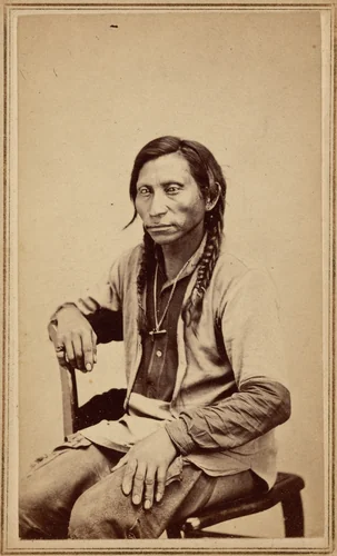 Gray Wolf by William Chamberlain, photograph, 1860-1869