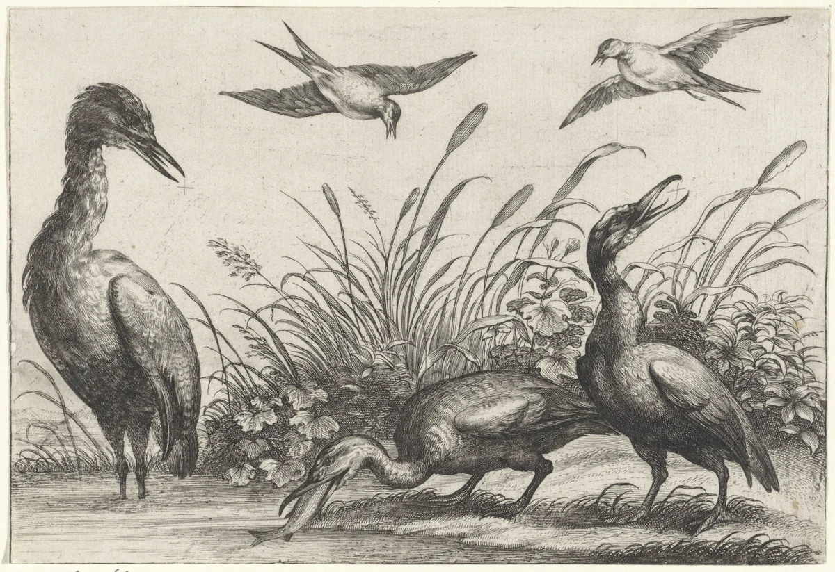 Reigers en zwaluwen by anonymous, print, 1654-1750