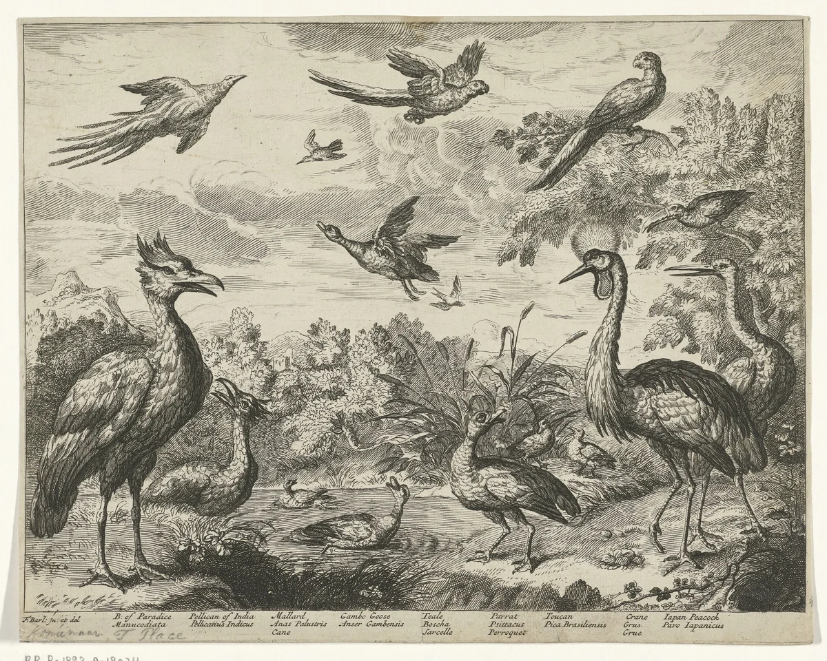 Verschillende vogels in een landschap by anonymous, print, 1655-1718