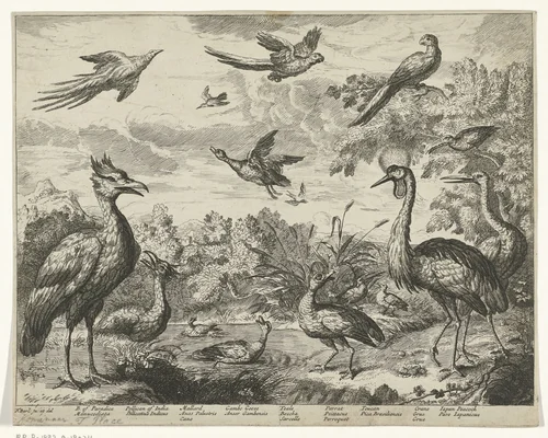 Verschillende vogels in een landschap by anonymous, print, 1655-1718