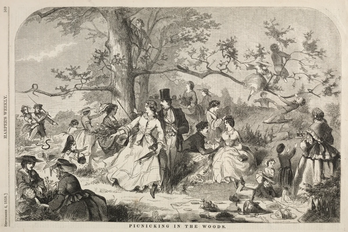 Picknicking in the Woods by Winslow Homer, print, 1858