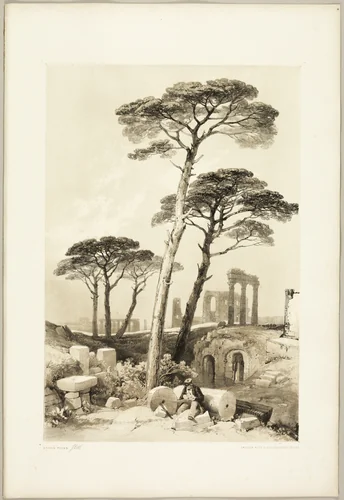 Stone Pines, from The Park and the Forest by James Duffield Harding, print, 1841