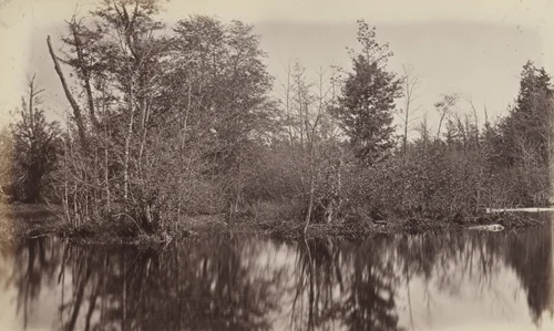 In a Swamp, Photographic Views and Studies of Canadian Scenery by Alexander Henderson, photograph, 1865