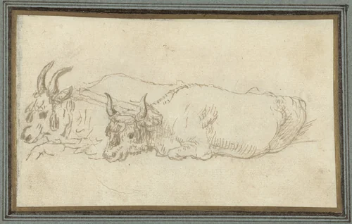 Twee liggende buffels onder een juk gespannen by Claude Lorrain, drawing, 1630-1640