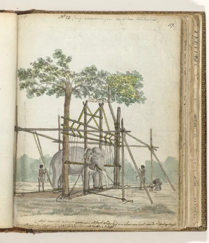 Olifantenstal by Jan Brandes, drawing, 1786