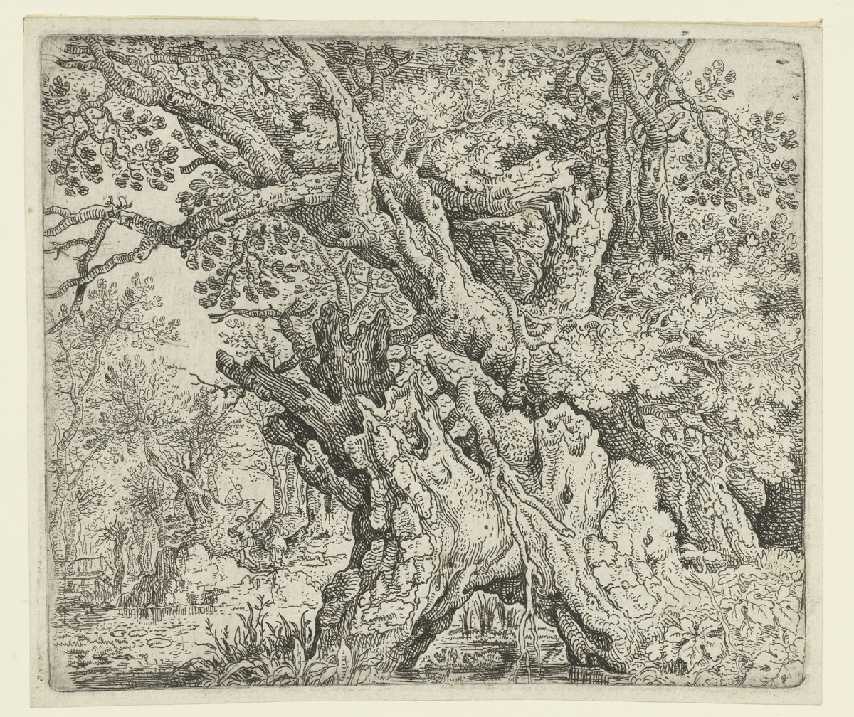 Gnarled Trees near the Water by Roelant Savery, print, 1605-1639