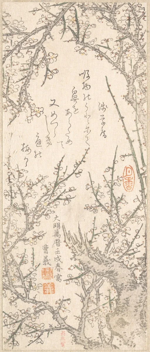 Plum Tree in Blossom by Kitao Shigemasa (北尾重政), print, 1813